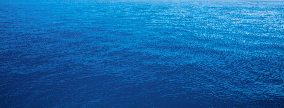CARDOT MARINE